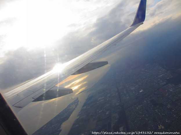 マリサ モンテを雇うのにいくらかかりますか?