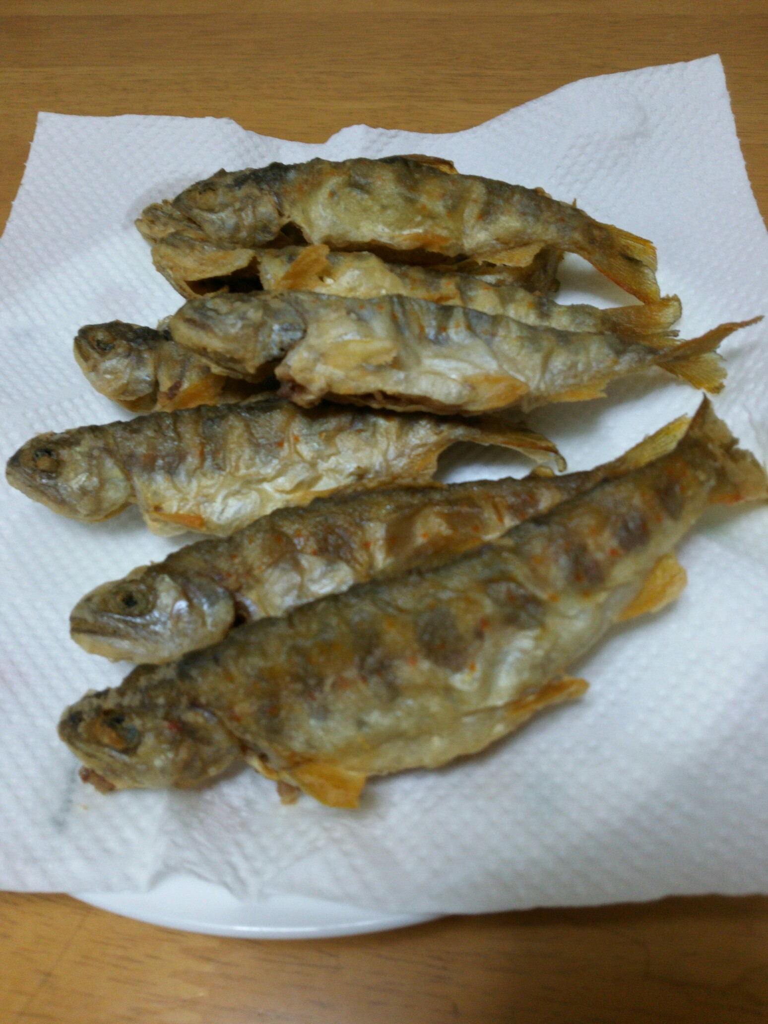 2016 GFG関西　渓流 2016-03-13 (1).png