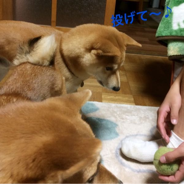 rblog-20161123120155-04.jpg