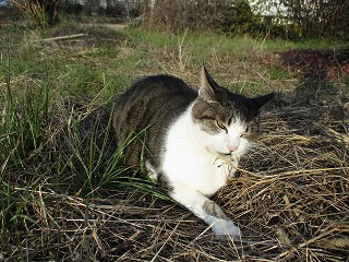 IMG_4869ss.jpg