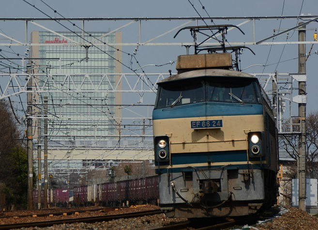 13.JPG