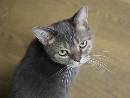 5DA_7623-22.jpg