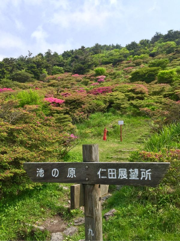 rblog-20160507182317-07.jpg