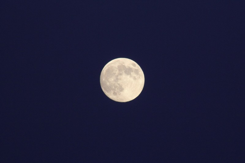 中秋の名月２０１４_007.jpg
