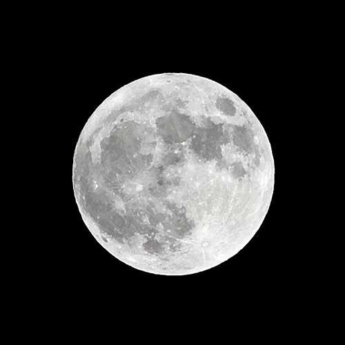 十五夜の月