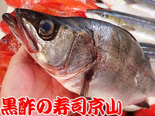 港区 南青山 美味しい魚 宅配寿司