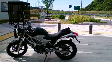 F1000279.jpg