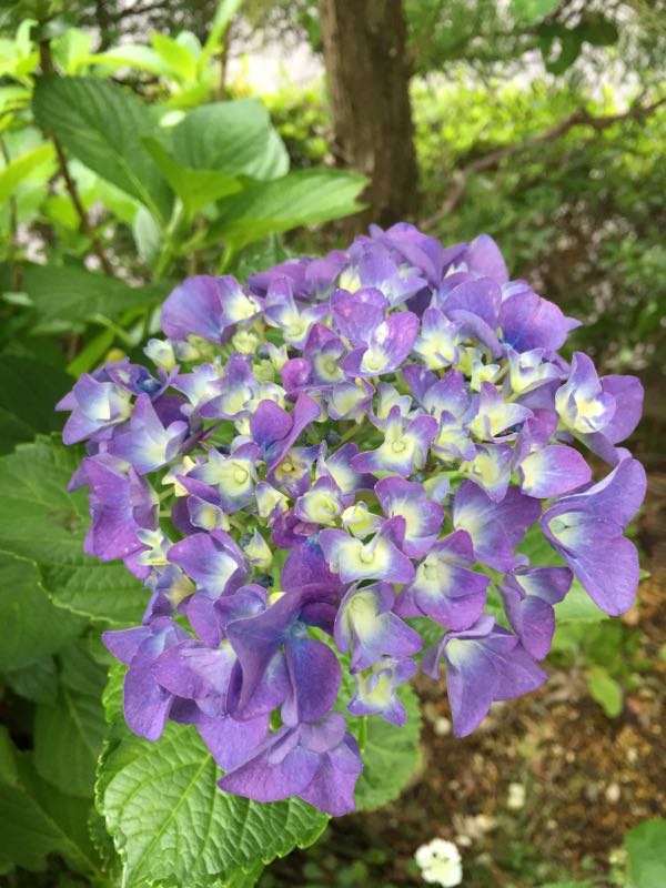 rblog-20160609235227-05.jpg