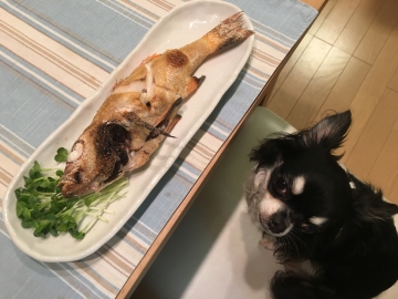 160709アカムツの塩焼き