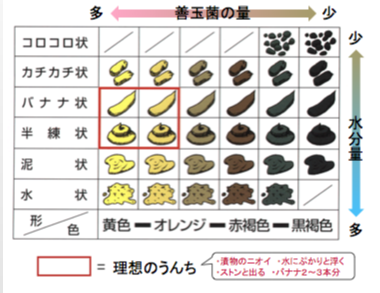 !cid_ii_13e88da884a9522c.png