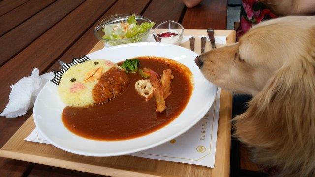 バリーとキック.jpg