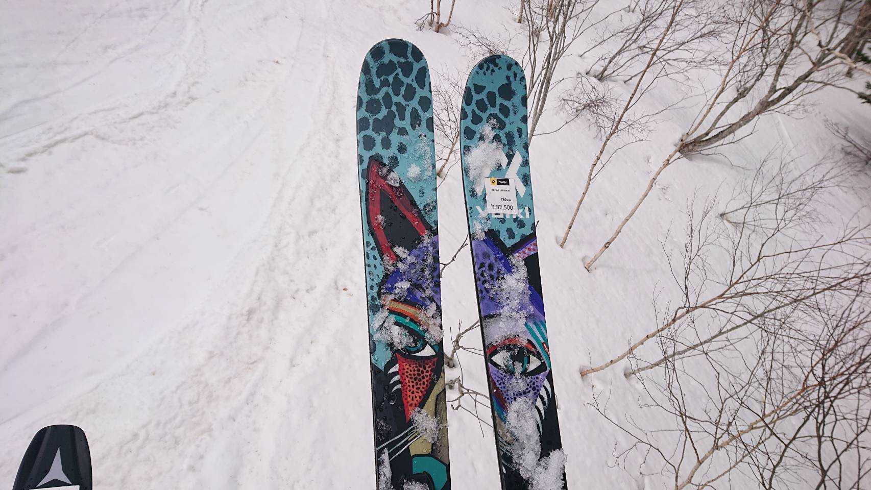 21 スキー試乗 ファット系２回目 山 スキー ときどき犬 楽天ブログ