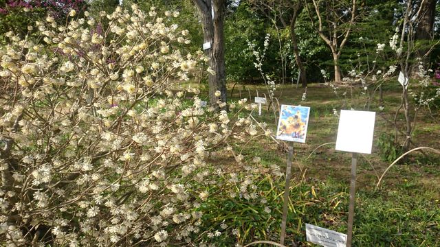 2015-04-18 15.47.48.jpg