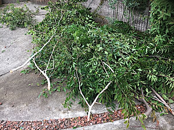 rblog-20180701064050-03.jpg
