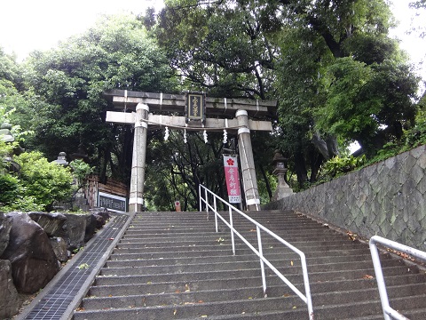 DSC09066.JPG