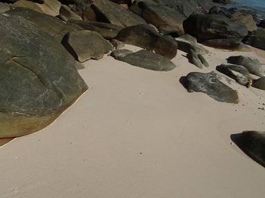 P1267476.JPG