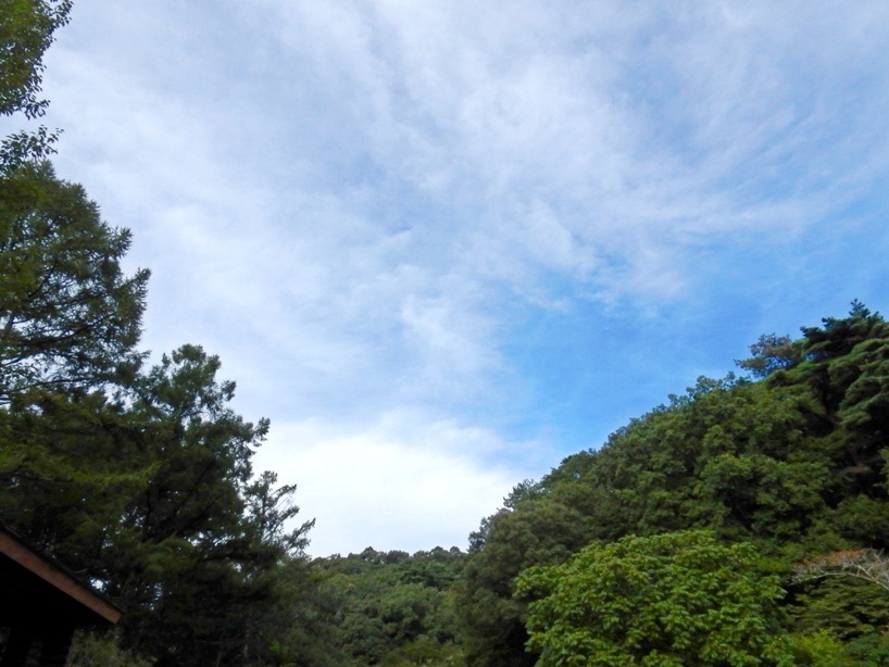 空3.JPG