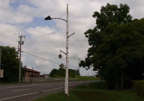 白樺の街路灯.jpg