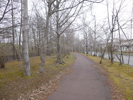 ジョギング　＠湿原の風アリーナ