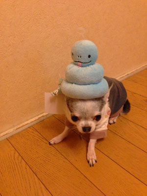 へびぼうし