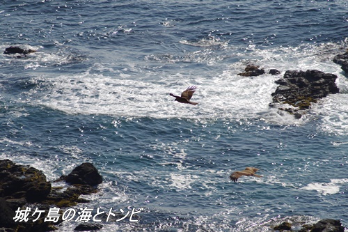 城ケ島の光景