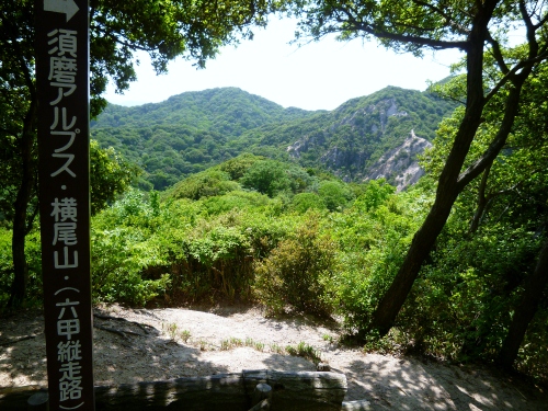 129 (500x375).jpg