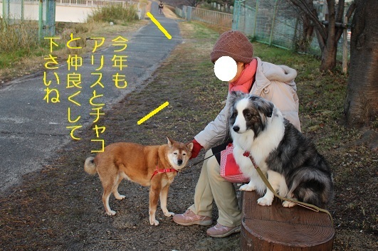 仲良く