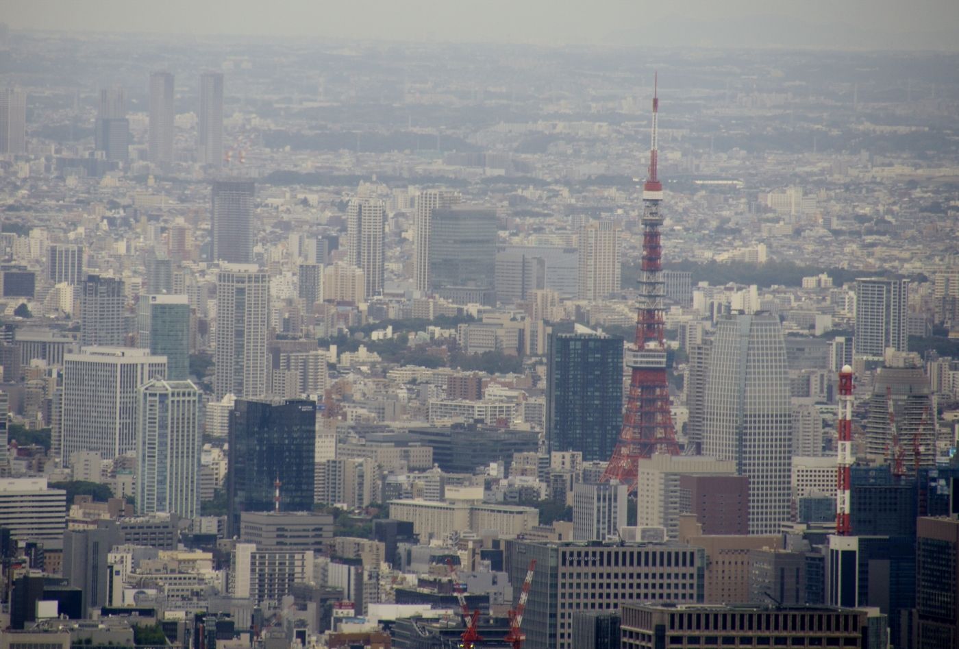 東京スカイツリーから見た景色です ふう 出来るだけ書くぞ 楽天ブログ