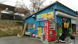 カキオコうまうま