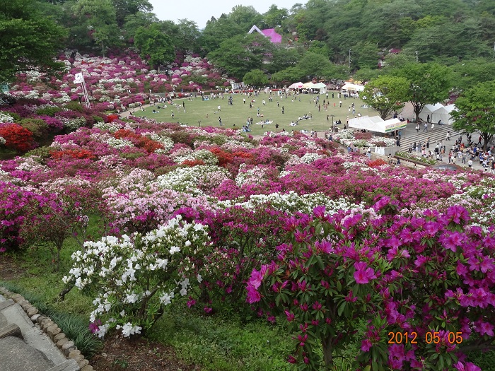 DSC00426.JPG