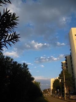 IMG_0205.JPG