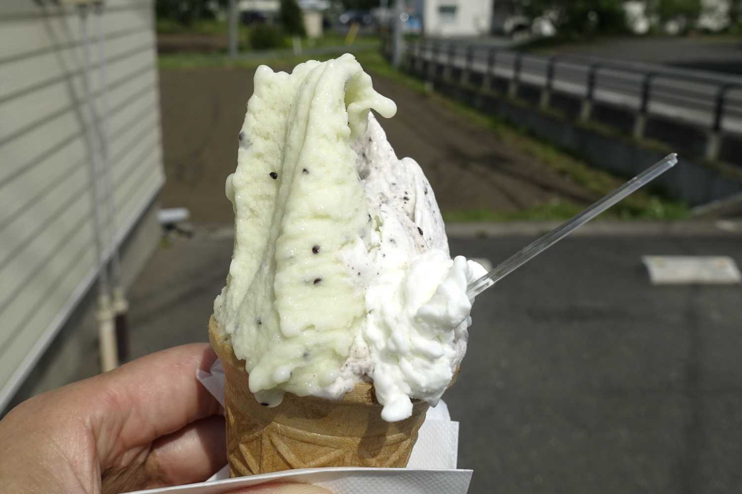 雫石の手作りアイス食べました ふう 出来るだけ書くぞ 楽天ブログ