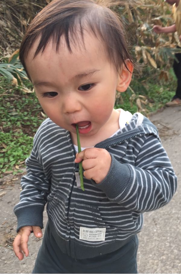 rblog-20150506204523-05.jpg