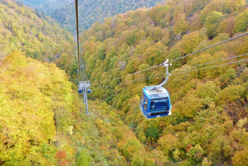 26ページ目の記事一覧 頭の中はロープウェイ 楽天ブログ