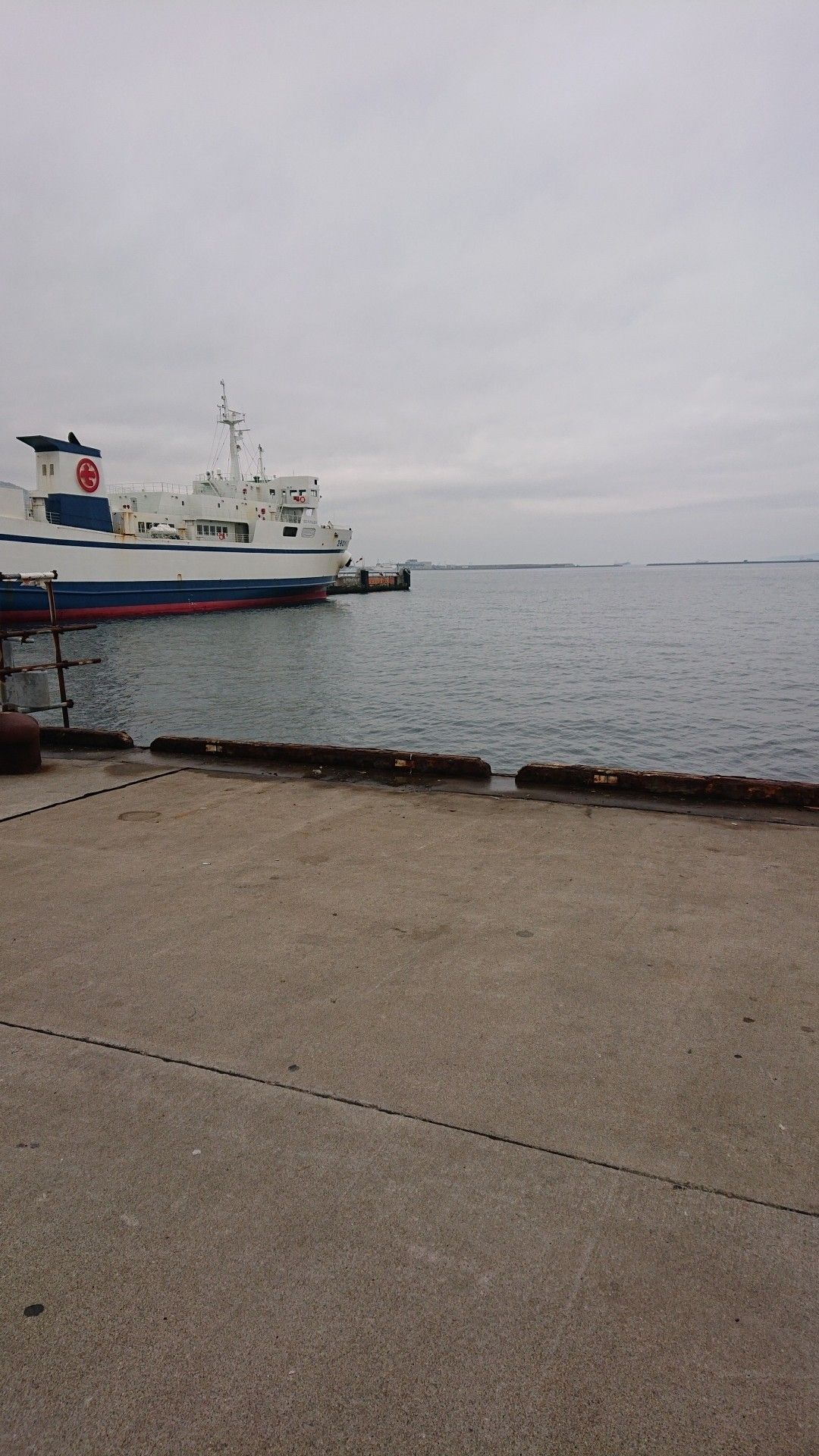 3 10 函館港 北埠頭 釣行 ｎの釣行記 楽天ブログ