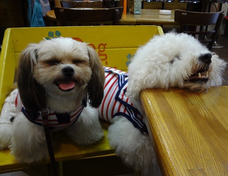 DSC00312.jpgクエスチョン.jpg