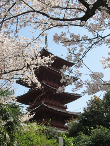 池上本門寺 ＆ 池上本門寺周辺にて