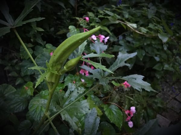 rblog-20160924181511-00.jpg