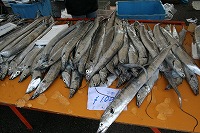 IMG_2332.jpg