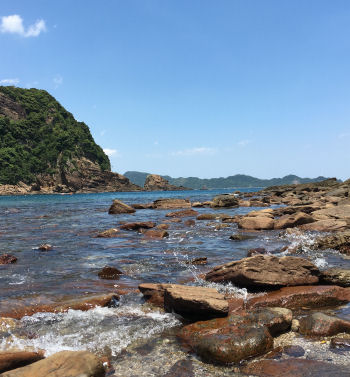 海