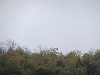 空３