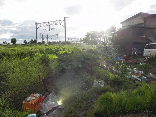 DSCN3516.jpg