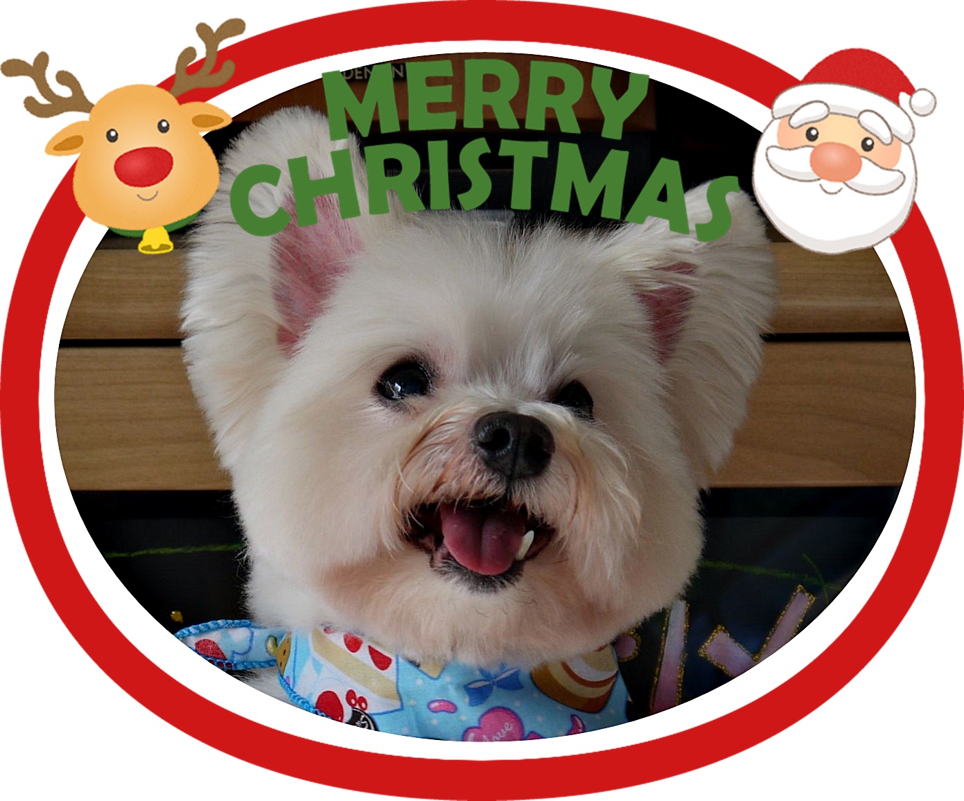 2017クリスマス_ラッキーパパさん