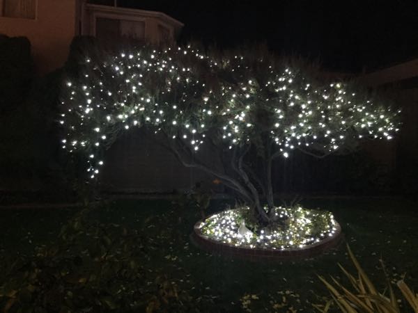 rblog-20151220213116-06.jpg