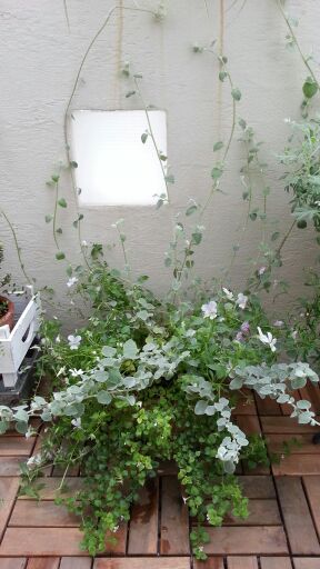 rblog-20140624003627-02.jpg