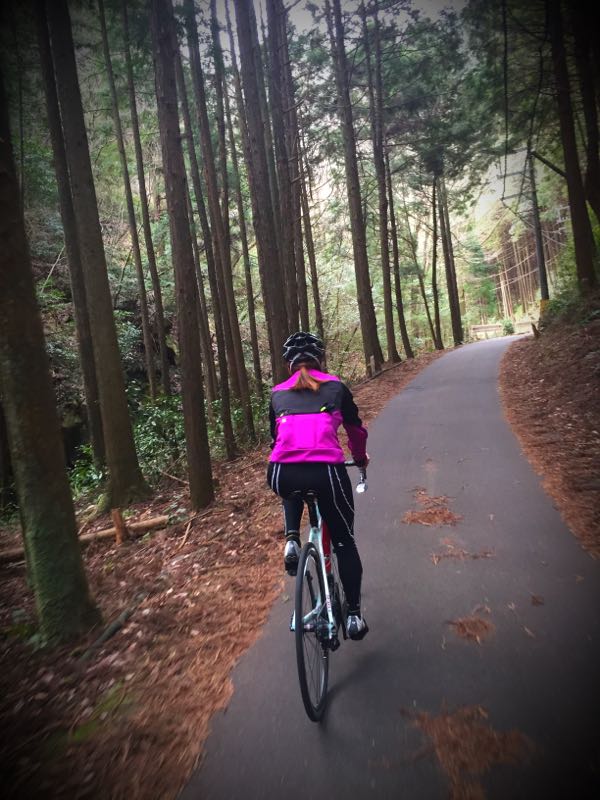 rblog-20160308223848-04.jpg
