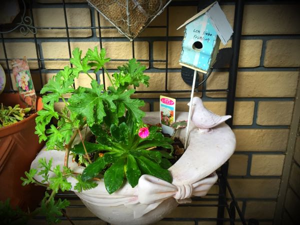 rblog-20160403110155-02.jpg