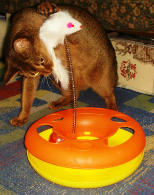 DSC08895.jpg