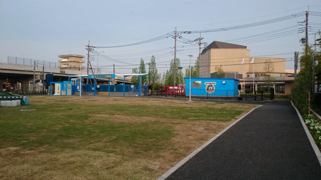 2015-04-24 17.48.13.jpg