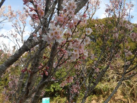 里山公園